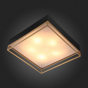 Накладной светильник ST-Luce Chodo SL1127.422.05 в Приобье - priobie.mebel24.online | фото 6