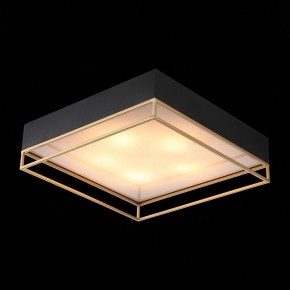 Накладной светильник ST-Luce Chodo SL1127.422.05 в Приобье - priobie.mebel24.online | фото 7