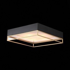Накладной светильник ST-Luce Chodo SL1127.422.05 в Приобье - priobie.mebel24.online | фото 8