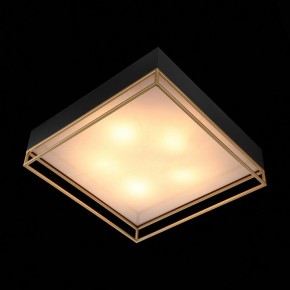 Накладной светильник ST-Luce Chodo SL1127.422.05 в Приобье - priobie.mebel24.online | фото 9