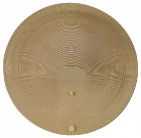 Накладной светильник ST-Luce Fossil SL6900.501.16 в Приобье - priobie.mebel24.online | фото