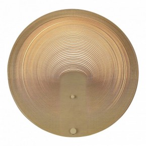 Накладной светильник ST-Luce Fossil SL6900.501.16 в Приобье - priobie.mebel24.online | фото 2