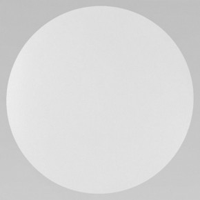 Накладной светильник TK Lighting Luna 6009 Luna White в Приобье - priobie.mebel24.online | фото