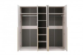 НИКОЛЬ 25 Шкаф 5-ти створчатый в Приобье - priobie.mebel24.online | фото 3