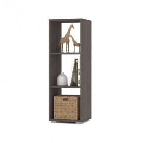 ОЛИВИЯ О53 Стеллаж (анкор темный) в Приобье - priobie.mebel24.online | фото