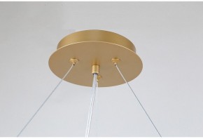 Подвесная люстра Favourite Ginkoa 4080-10P в Приобье - priobie.mebel24.online | фото 9