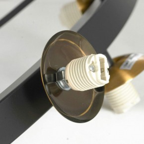 Подвесная люстра Lussole LSP-875 LSP-8750 в Приобье - priobie.mebel24.online | фото 6