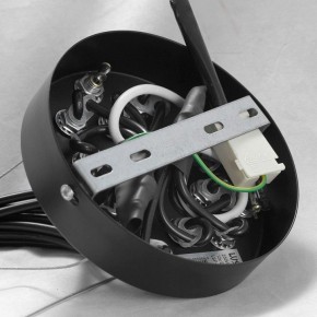 Подвесная люстра Lussole Seneca GRLSP-8177 в Приобье - priobie.mebel24.online | фото 10
