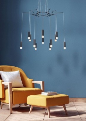 Подвесная люстра Maytoni Davida MOD035PL-12B в Приобье - priobie.mebel24.online | фото 4