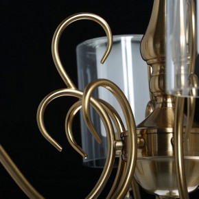 Подвесная люстра MW-Light Эллегия 8 303012708 в Приобье - priobie.mebel24.online | фото 7