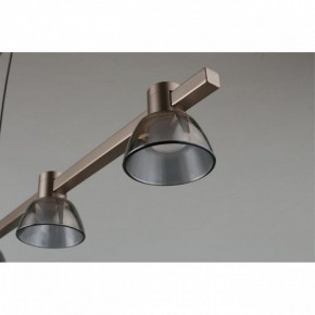 Подвесной светильник Aployt Rezeda APL.788.03.06 в Приобье - priobie.mebel24.online | фото 4