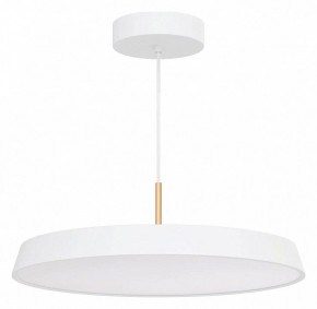 Подвесной светильник Arlight ELEGANT 033924(1) в Приобье - priobie.mebel24.online | фото 2