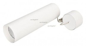 Подвесной светильник Arlight SP-POLO-HANG-LONG300-R85-15W Warm3000 (WH-WH, 40 deg) 027414 в Приобье - priobie.mebel24.online | фото