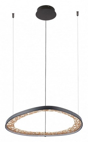Подвесной светильник Arte Lamp Cinta A1847SP-36BK в Приобье - priobie.mebel24.online | фото 2