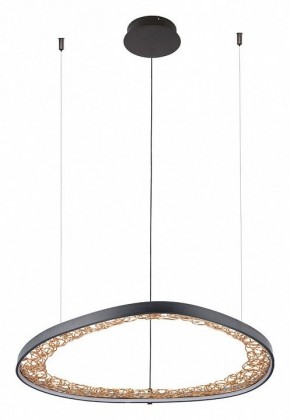 Подвесной светильник Arte Lamp Cinta A1847SP-46BK в Приобье - priobie.mebel24.online | фото 2