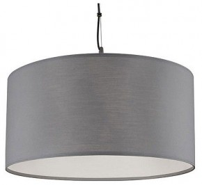Подвесной светильник Arte Lamp Coppa A4095SP-3GY в Приобье - priobie.mebel24.online | фото