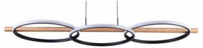 Подвесной светильник Arte Lamp Fluido A3913SP-24BK в Приобье - priobie.mebel24.online | фото