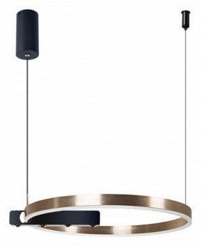 Подвесной светильник Arte Lamp Veritate A2221SP-1BR в Приобье - priobie.mebel24.online | фото 3