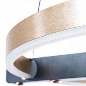 Подвесной светильник Arte Lamp Veritate A2221SP-1BR в Приобье - priobie.mebel24.online | фото 6
