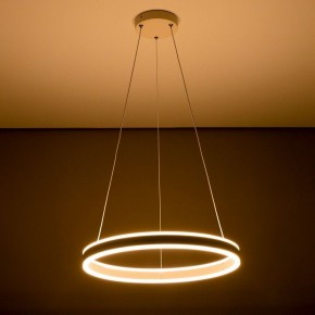 Подвесной светильник Citilux Дуэт CL719500 в Приобье - priobie.mebel24.online | фото 11