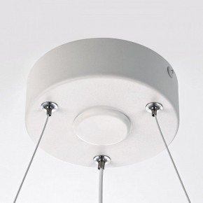 Подвесной светильник Citilux Trio CL215B050 в Приобье - priobie.mebel24.online | фото 10