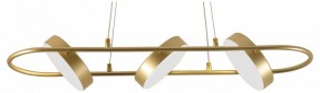 Подвесной светильник F-promo Abris 4677-3P в Приобье - priobie.mebel24.online | фото