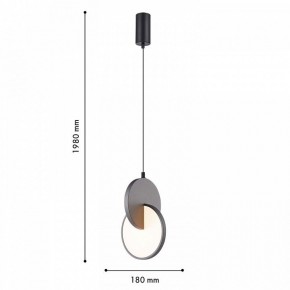 Подвесной светильник F-promo Grahan 4609-1P в Приобье - priobie.mebel24.online | фото 4
