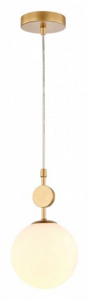 Подвесной светильник Favourite Absolute 2928-1P в Приобье - priobie.mebel24.online | фото 3
