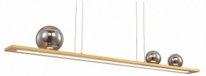 Подвесной светильник Favourite Bilico 4549-3P в Приобье - priobie.mebel24.online | фото 2