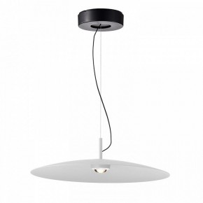 Подвесной светильник Favourite Lars 4410-1P в Приобье - priobie.mebel24.online | фото 2