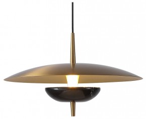 Подвесной светильник Favourite Marmo 4246-1P в Приобье - priobie.mebel24.online | фото