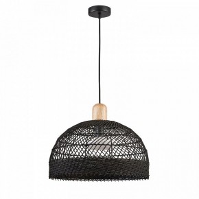 Подвесной светильник Favourite Plat 4461-1P в Приобье - priobie.mebel24.online | фото 2