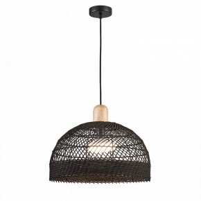 Подвесной светильник Favourite Plat 4461-1P в Приобье - priobie.mebel24.online | фото 3