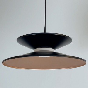Подвесной светильник Favourite Platt 4372-1P в Приобье - priobie.mebel24.online | фото 2
