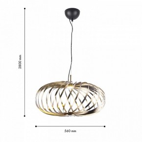Подвесной светильник Favourite Spring 4680-1P в Приобье - priobie.mebel24.online | фото 4