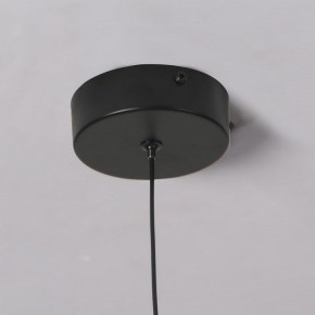 Подвесной светильник Favourite Wilet 4656-1P в Приобье - priobie.mebel24.online | фото 10