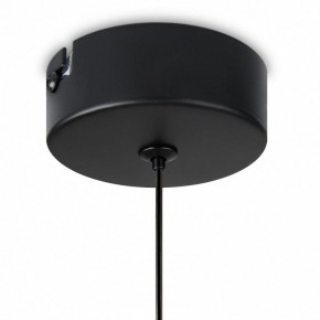 Подвесной светильник Freya Idol FR6134PL-L4SM в Приобье - priobie.mebel24.online | фото 8