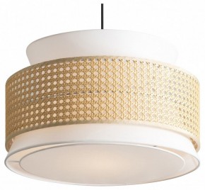 Подвесной светильник Freya Weave FR5492PL-01B в Приобье - priobie.mebel24.online | фото
