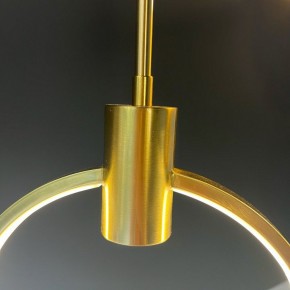Подвесной светильник Imperiumloft Babetta babetta-ring01 в Приобье - priobie.mebel24.online | фото 7