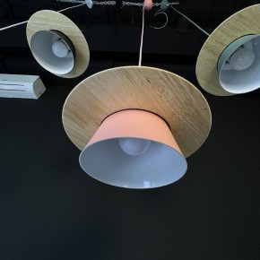 Подвесной светильник Imperiumloft Eco ECO1 в Приобье - priobie.mebel24.online | фото 3