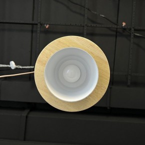 Подвесной светильник Imperiumloft Eco ECO1 в Приобье - priobie.mebel24.online | фото 6
