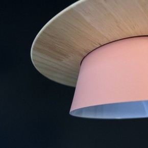 Подвесной светильник Imperiumloft Eco ECO1 в Приобье - priobie.mebel24.online | фото 9