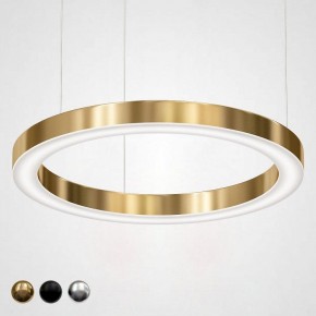Подвесной светильник Imperiumloft Light Ring Horizontal 40.1454-80 в Приобье - priobie.mebel24.online | фото