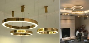 Подвесной светильник Imperiumloft Light Ring Horizontal 40.1454-80 в Приобье - priobie.mebel24.online | фото 2