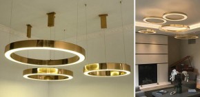 Подвесной светильник Imperiumloft Light Ring Horizontal 40.1454-80 в Приобье - priobie.mebel24.online | фото 3