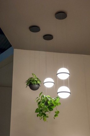 Подвесной светильник Imperiumloft Palma Wall Lamp 22.93727 в Приобье - priobie.mebel24.online | фото 6