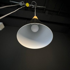Подвесной светильник Imperiumloft Xd-A XD1 в Приобье - priobie.mebel24.online | фото 4