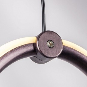 Подвесной светильник Lightstar Caramello 796139 в Приобье - priobie.mebel24.online | фото 5
