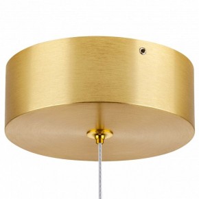 Подвесной светильник Lightstar Colore 805403 в Приобье - priobie.mebel24.online | фото 7