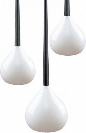 Подвесной светильник Lightstar Forma 808230 в Приобье - priobie.mebel24.online | фото 3